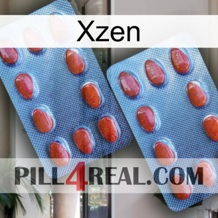 Xzen 05